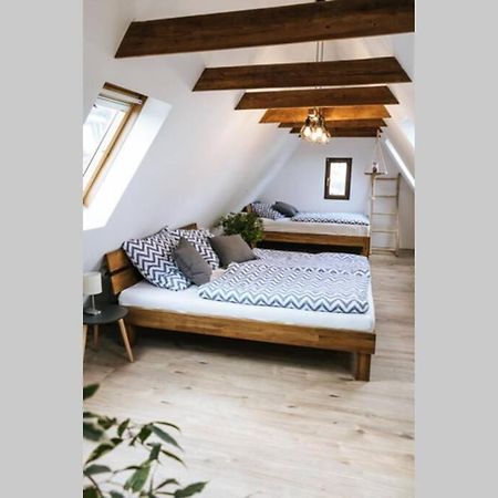 The Cozy Studio Apartment Lauf Lauf an der Pegnitz Dış mekan fotoğraf