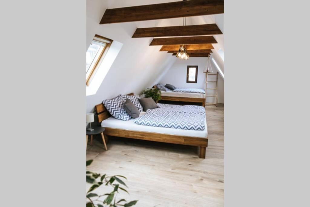 The Cozy Studio Apartment Lauf Lauf an der Pegnitz Dış mekan fotoğraf